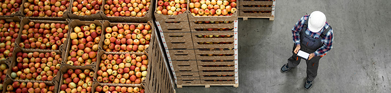 crates of red apples