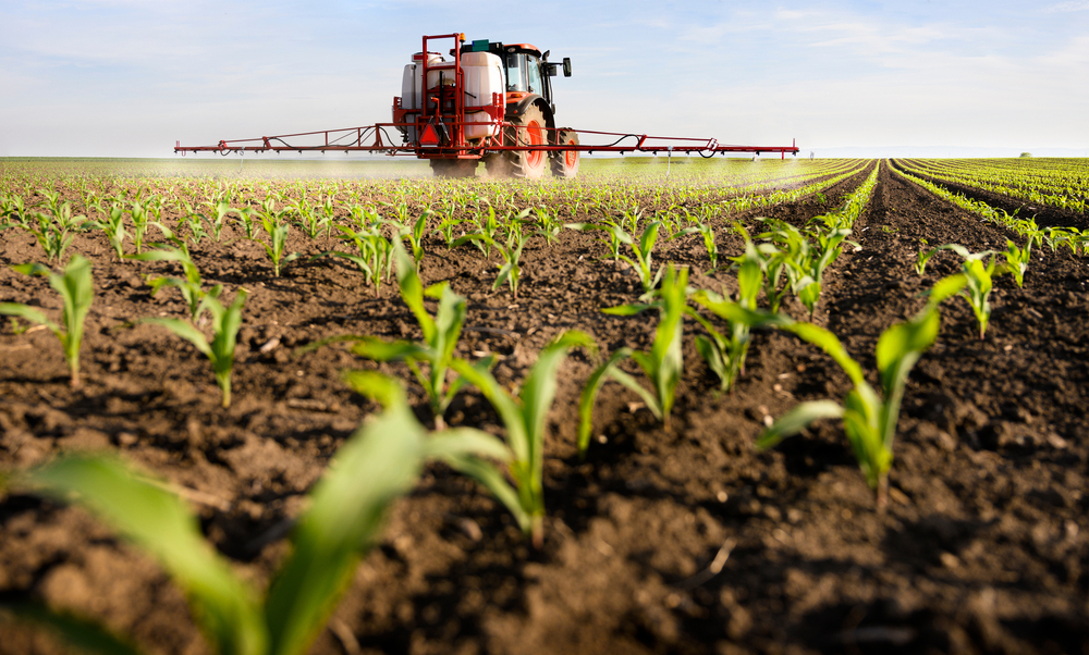 fresh crops being watered